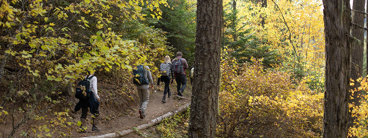 Student in orange jacket hiking on a trail